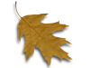 Captcha image 1820